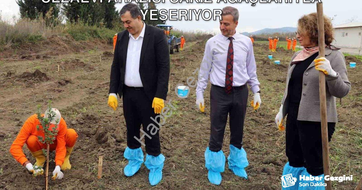 "Dalaman’da Tarımsal Üretime Destek: Cezaevi Arazisi Sakız Ağaçlarıyla Yeşeriyor" başlıklı haber içi