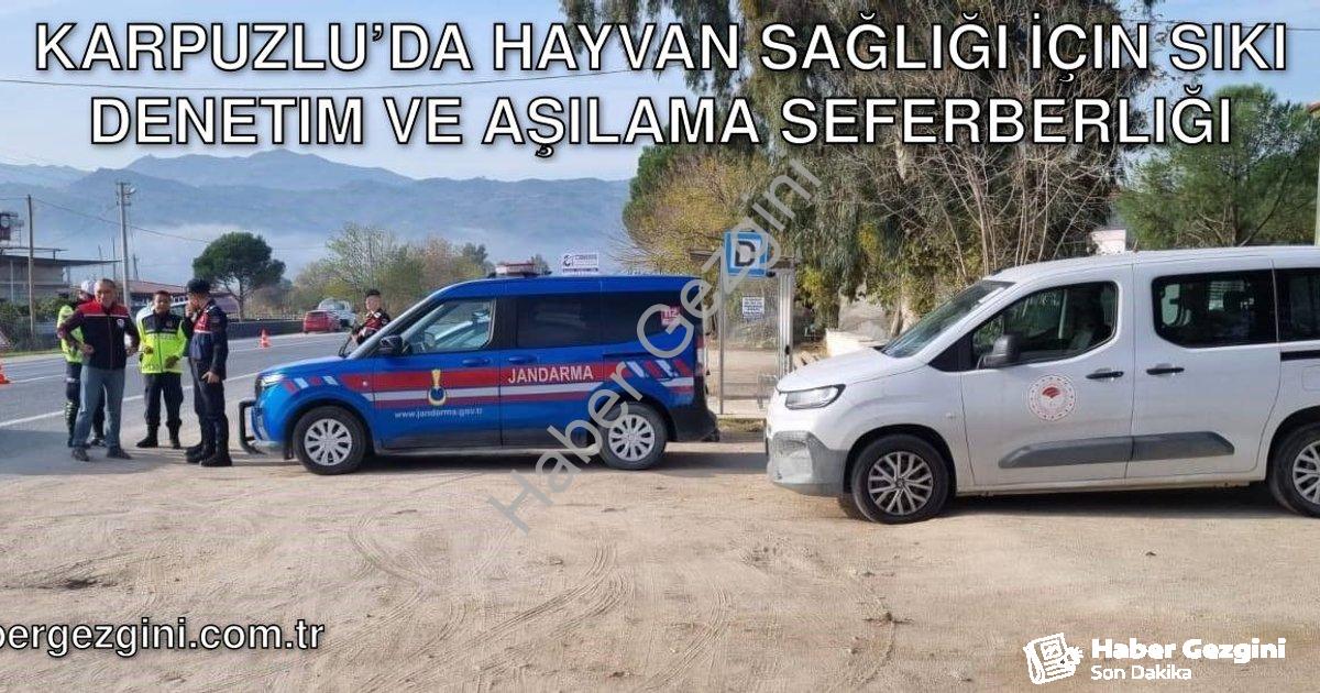 "Karpuzlu’da Hayvan Sağlığı İçin Sıkı Denetim ve Aşılama Seferberliği" başlıklı haber için fotoreali