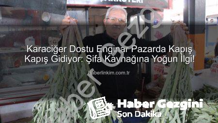 Karaciğer Dostu Enginar Pazarda Kapış Kapış Gidiyor: Mehmet Özkan’dan Şifa Kaynağı Açıklaması