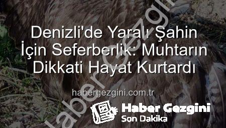 Denizli’de Yaralı Şahin İçin Seferberlik: Muhtarın Dikkati Hayat Kurtardı