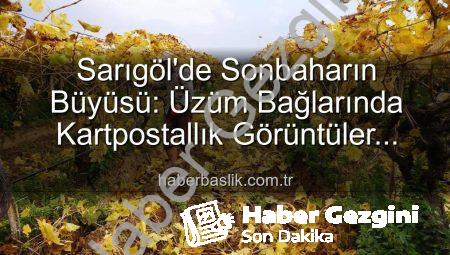 Sarıgöl’de Manzara Eşliğinde Budama: Üzüm Bağları Kartpostallık Görüntüler Sunuyor