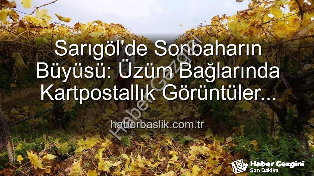Sarıgöl üzüm bağları - Sarıgöl'de Manzara Eşliğinde Budama: Üzüm Bağları Kartpostallık Görüntüler Sunuyor