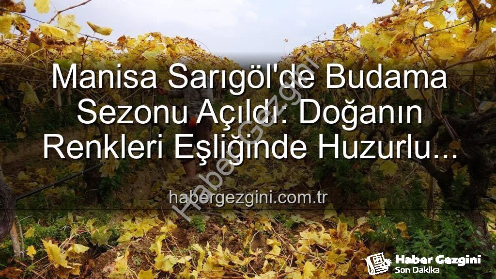 Sarıgöl bağ budama - Manisa Sarıgöl'de Budama Sezonu Açıldı: Doğanın Renkleri Eşliğinde Huzurlu İşçilik
