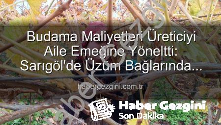 Budama Maliyetleri Üreticiyi Aile Emeğine Yöneltti: Sarıgöl’de Üzüm Bağlarında Yeni Dönem