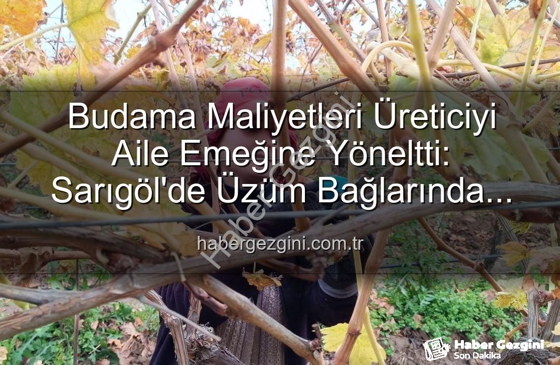 budama maliyeti - Budama Maliyetleri Üreticiyi Aile Emeğine Yöneltti: Sarıgöl'de Üzüm Bağlarında Yeni Dönem
