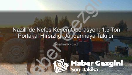 Nazilli’de Nefes Kesen Operasyon: 1.5 Ton Portakal Hırsızlığı Jandarmaya Takıldı, Şüpheliler Yakalandı!