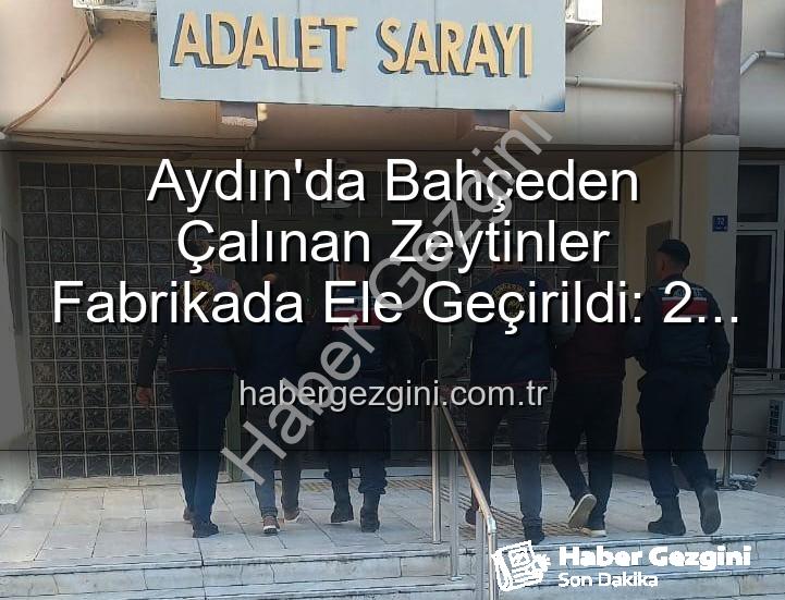 zeytin hırsızlığı - Aydın'da Bahçeden Çalınan Zeytinler Fabrikada Ele Geçirildi: 2 Şüpheli Yakalandı