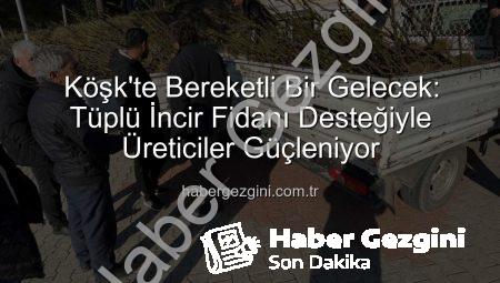 Köşk’te Bereketli Bir Gelecek: Tüplü İncir Fidanı Desteğiyle Üreticiler Güçleniyor