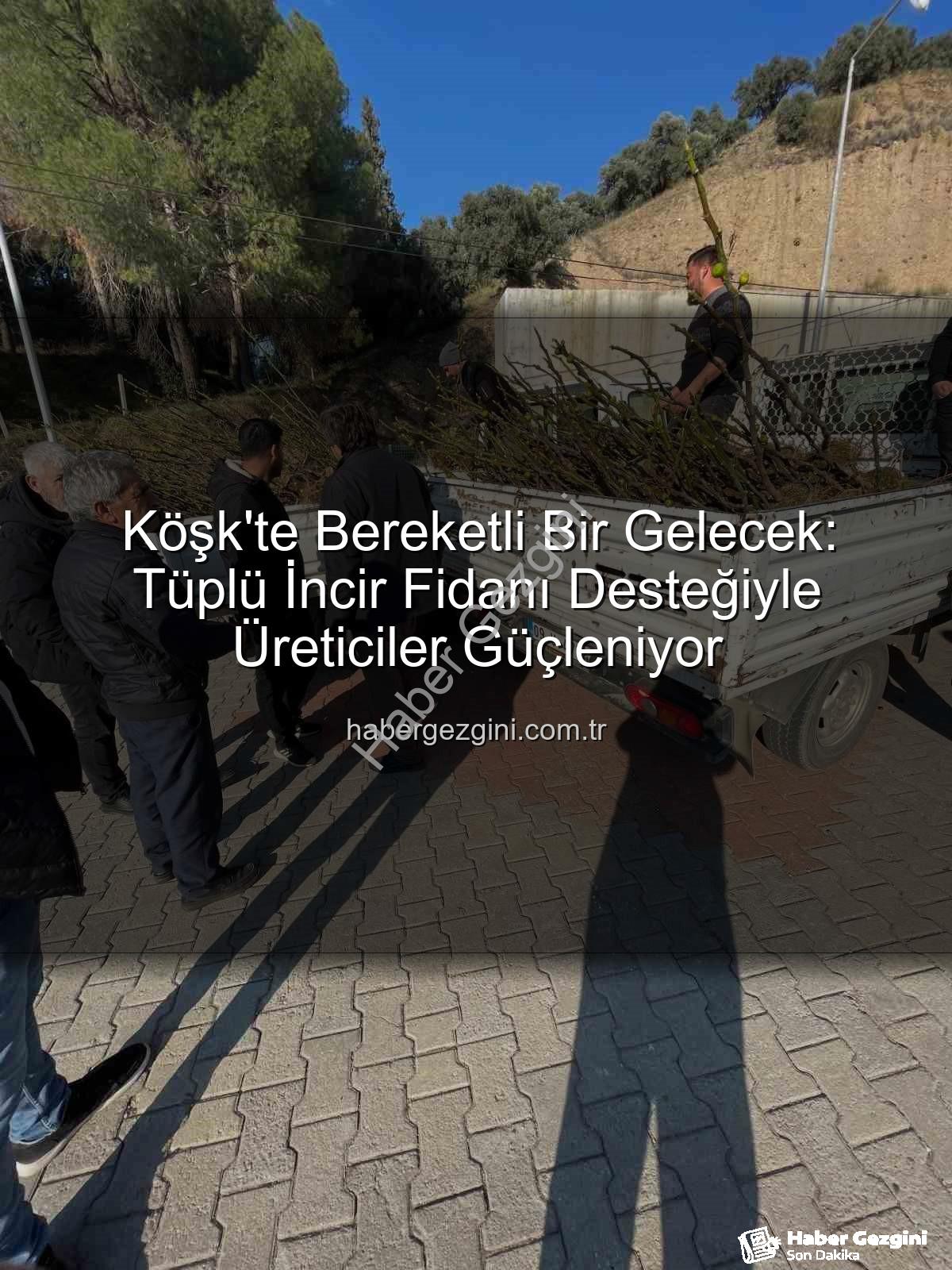 tüplü incir fidanı - Köşk'te Bereketli Bir Gelecek: Tüplü İncir Fidanı Desteğiyle Üreticiler Güçleniyor