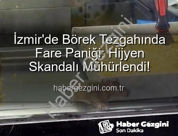 börek tezgahında fare - İzmir'de Börek Tezgahında Fare Paniği: Hijyen Skandalı Mühürlendi!