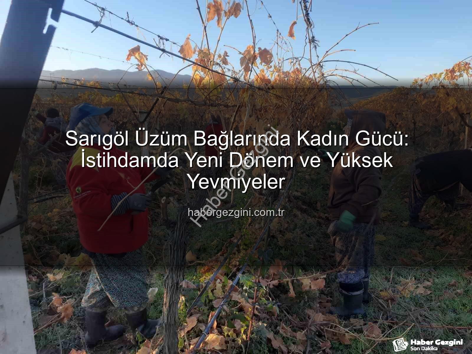 kadın istihdamı - Sarıgöl Üzüm Bağlarında Kadın Gücü: İstihdamda Yeni Dönem ve Yüksek Yevmiyeler