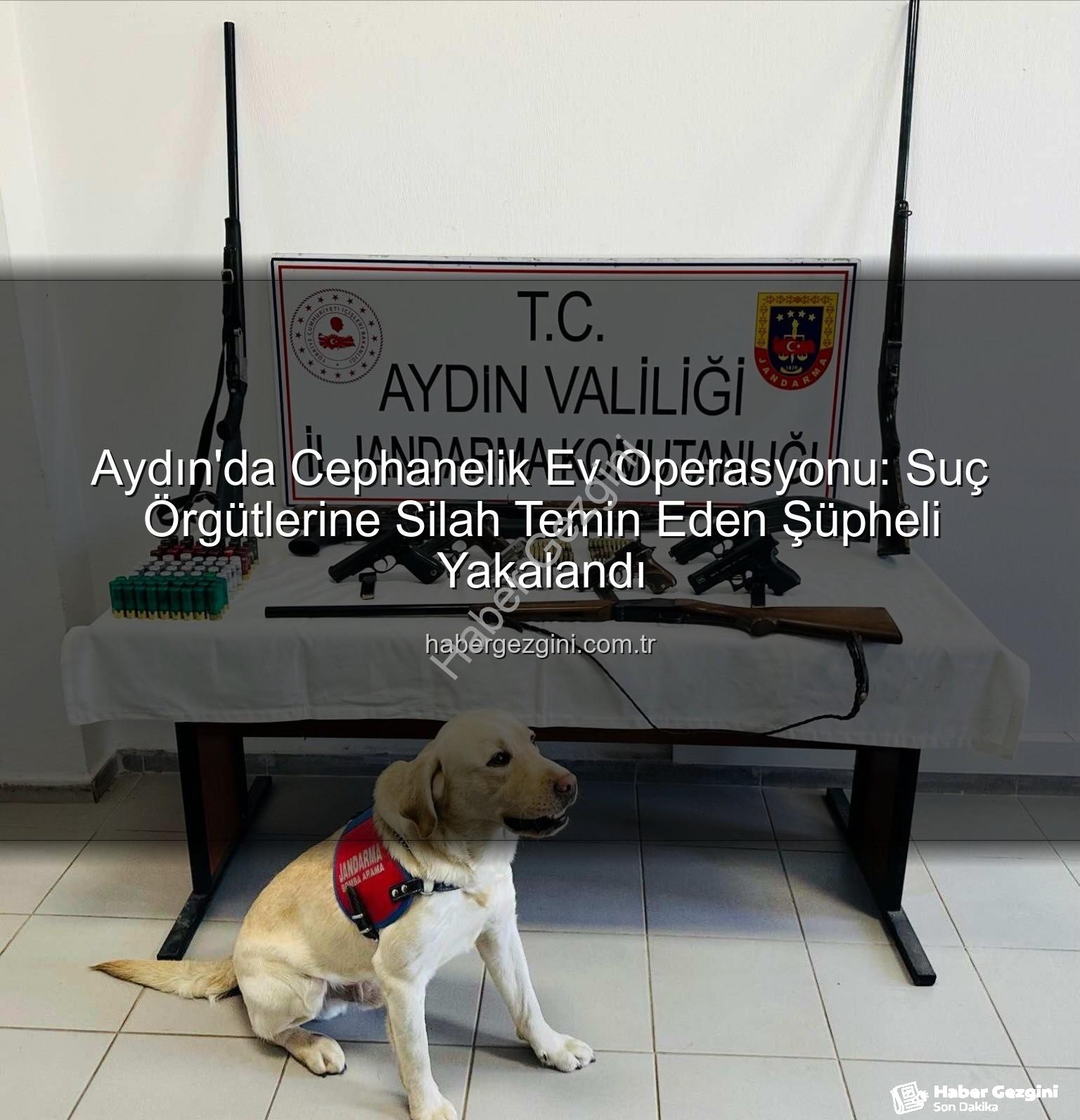 ruhsatsız silah - Aydın'da Cephanelik Ev Operasyonu: Suç Örgütlerine Silah Temin Eden Şüpheli Yakalandı