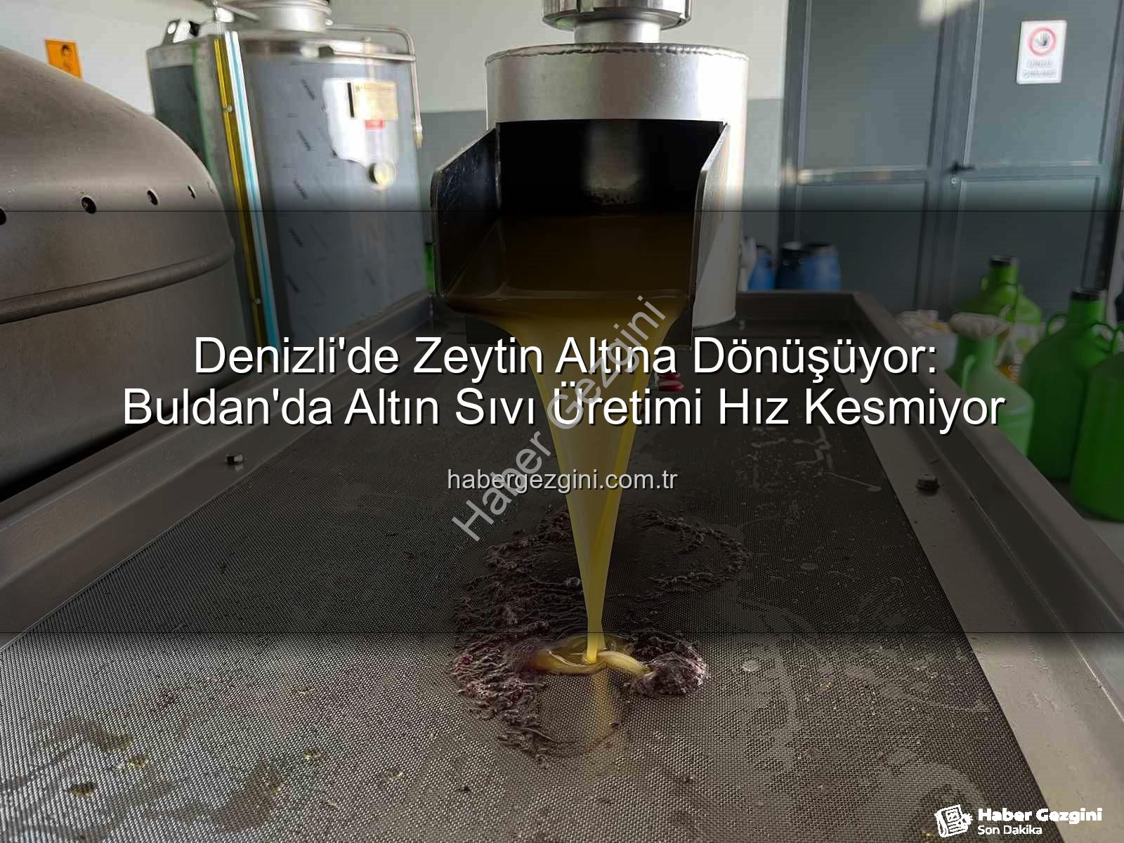 zeytinyağı üretimi - Denizli'de Zeytin Altına Dönüşüyor: Buldan'da Altın Sıvı Üretimi Hız Kesmiyor