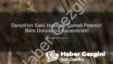 Denizli’nin Saklı Hazinesi ‘Çameli Pelemiri’ Bilim Dünyasına Kazandırıldı!