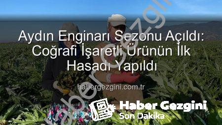 Aydın Enginarı Sezonu Açıldı: Coğrafi İşaretli Ürünün İlk Hasadı Yapıldı