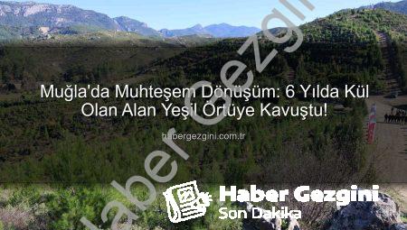 Muğla’da Muhteşem Dönüşüm: 6 Yılda Kül Olan Alan Yeşil Örtüye Kavuştu!